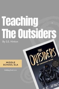 The Outsiders Lesson Plans: Activities, Themes, & Ideas